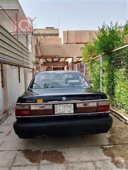 كيا بوتينشيا